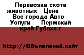 Перевозка скота животных › Цена ­ 39 - Все города Авто » Услуги   . Пермский край,Губаха г.